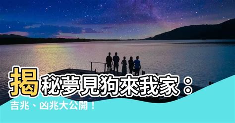 夢見很多人來我家|夢見很多人來家裡